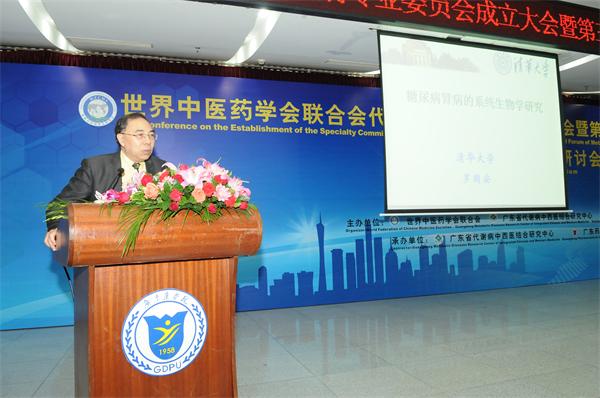 清华大学罗国安教授作特邀报告